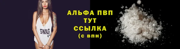 дурь Гусев
