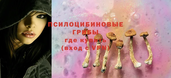 MESCALINE Гусиноозёрск